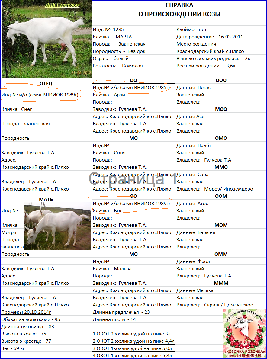 Через сколько приходит в охоту. Таблица окотов у коз. Таблица беременности коз. Промеры коз. Таблица измерения веса коз.