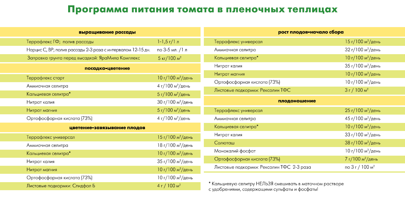 Справочная таблица недостаток питательных веществ у томатов с фото и описанием