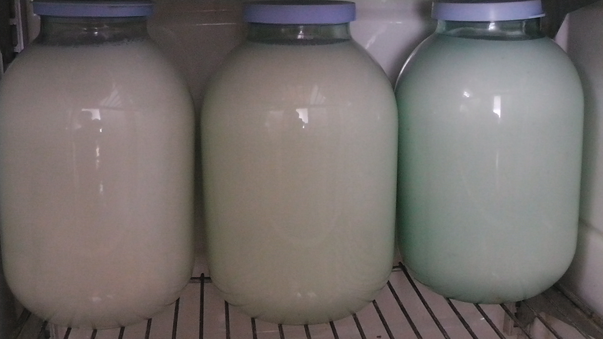 Бутылка молока буренка раньше вмещала. Молоко домашнее. Молоко б. Молоко 3 литра банка. Молоко домашнее в банке.