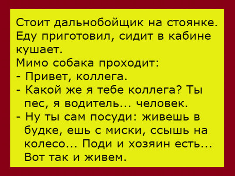 Анекдот про есть. Анекдоты про дальнобойщиков. Анекдоты от дальнобойщиков. Анекдоты про дальнобойщиков смешные очень. Ржачные анекдоты про дальнобойщиков.